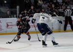 Photo hockey match Bordeaux - Angers  le 19/03/2025