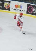 Photo hockey match Bordeaux - Anglet le 28/03/2015