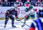 Photo hockey match Bordeaux - Anglet le 19/11/2025