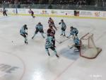 Photo hockey match Bordeaux - Brest  le 17/10/2015