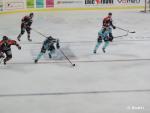 Photo hockey match Bordeaux - Brest  le 17/10/2015