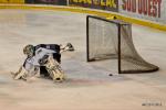 Photo hockey match Bordeaux - Brest  le 25/02/2012