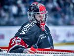 Photo hockey match Bordeaux - Brianon  le 21/02/2025