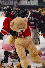 Photo hockey match Bordeaux - Brian�on  le 16/01/2026