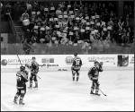 Photo hockey match Bordeaux - Chamonix  le 19/03/2016