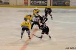 Photo hockey match Bordeaux - Dunkerque le 16/03/2014