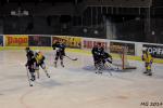 Photo hockey match Bordeaux - Dunkerque le 16/03/2014