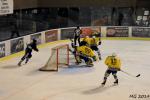 Photo hockey match Bordeaux - Dunkerque le 16/03/2014