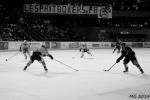 Photo hockey match Bordeaux - Dunkerque le 16/03/2014