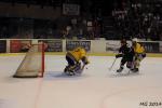 Photo hockey match Bordeaux - Dunkerque le 16/03/2014