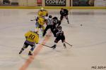 Photo hockey match Bordeaux - Dunkerque le 16/03/2014