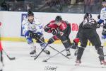 Photo hockey match Bordeaux - Gap  le 17/10/2023