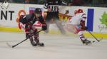 Photo hockey match Bordeaux - Grenoble  le 31/10/2017