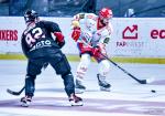 Photo hockey match Bordeaux - Grenoble  le 10/10/2023