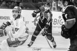 Photo hockey match Bordeaux - Grenoble  le 10/10/2023