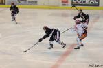 Photo hockey match Bordeaux - Lyon le 01/04/2014