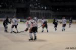 Photo hockey match Bordeaux - Lyon le 01/04/2014
