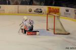Photo hockey match Bordeaux - Lyon le 01/04/2014