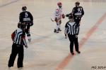 Photo hockey match Bordeaux - Lyon le 01/04/2014