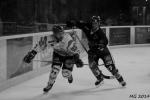 Photo hockey match Bordeaux - Lyon le 01/04/2014