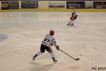 Photo hockey match Bordeaux - Lyon le 01/04/2014