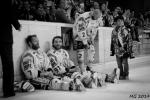 Photo hockey match Bordeaux - Lyon le 01/04/2014
