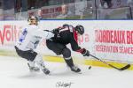 Photo hockey match Bordeaux - Marseille le 22/10/2023