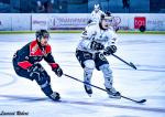 Photo hockey match Bordeaux - Marseille le 20/03/2024