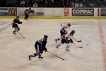 Photo hockey match Bordeaux - Mulhouse le 22/03/2014