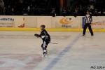 Photo hockey match Bordeaux - Mulhouse le 23/03/2014