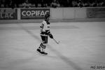 Photo hockey match Bordeaux - Mulhouse le 23/03/2014