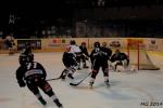 Photo hockey match Bordeaux - Mulhouse le 23/03/2014