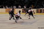 Photo hockey match Bordeaux - Mulhouse le 23/03/2014