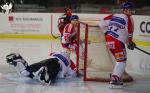 Photo hockey match Bordeaux - Mulhouse le 03/01/2018