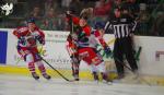 Photo hockey match Bordeaux - Mulhouse le 03/01/2018