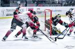 Photo hockey match Bordeaux - Mulhouse le 31/01/2023