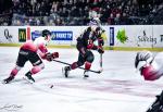Photo hockey match Bordeaux - Mulhouse le 31/01/2023