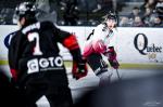 Photo hockey match Bordeaux - Mulhouse le 31/01/2023