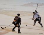 Photo hockey match Bordeaux - Mulhouse le 03/04/2010