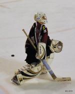 Photo hockey match Bordeaux - Mulhouse le 03/04/2010