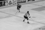 Photo hockey match Bordeaux - Nantes le 06/09/2014