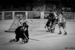 Photo hockey match Bordeaux - Nice le 01/03/2014