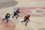 Photo hockey match Bordeaux - Reims le 13/09/2014
