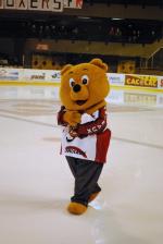 Photo hockey match Bordeaux - Reims le 31/01/2009