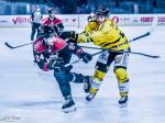 Photo hockey match Bordeaux - Rouen le 03/12/2023