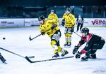Photo hockey match Bordeaux - Rouen le 03/12/2023