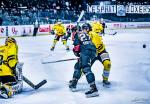Photo hockey match Bordeaux - Rouen le 03/12/2023