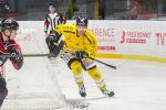 Photo hockey match Bordeaux - Rouen le 03/12/2023