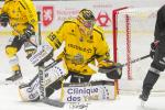 Photo hockey match Bordeaux - Rouen le 03/12/2023