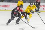 Photo hockey match Bordeaux - Rouen le 03/12/2023
